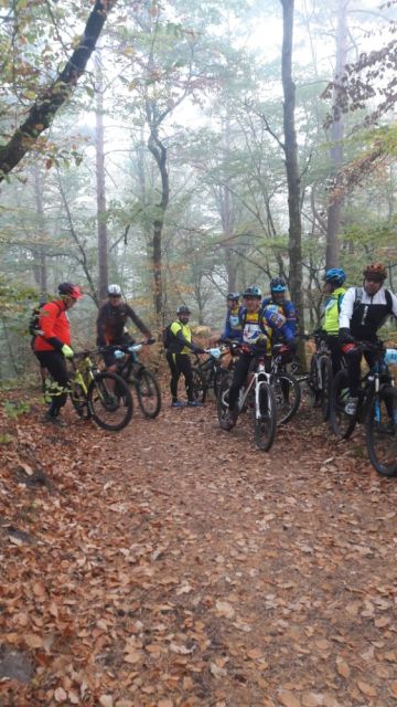 2018-10-21 - veneux-les-sablons (04)