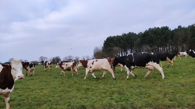 2023-03-05 - commequiers (09)