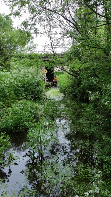 2023-05-07 - saint-hilaire-de-clisson (04)