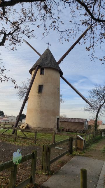 2023-11-26 - apremont (05)