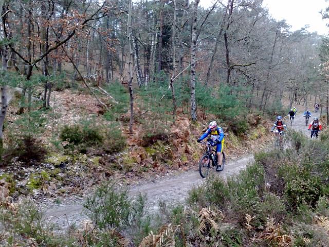 2011-03-27-fontainebleau (04)