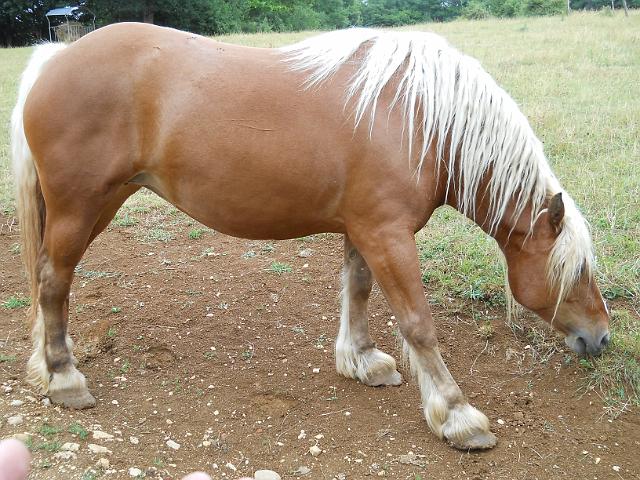2011-06-02 - serrieres (156)