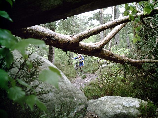 2009-05-10-polinoise (02)