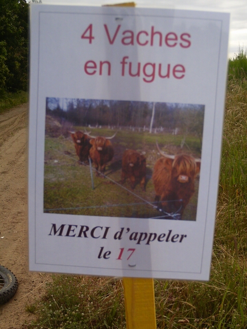 2016-07-03-maisse (02)