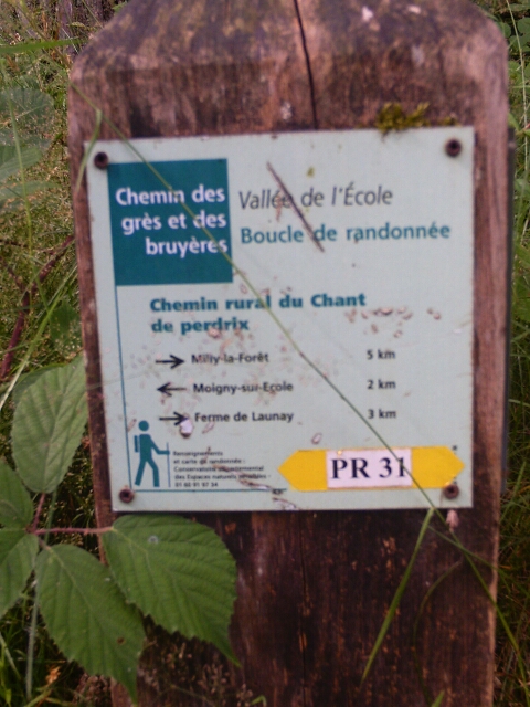 2016-07-03-maisse (03)