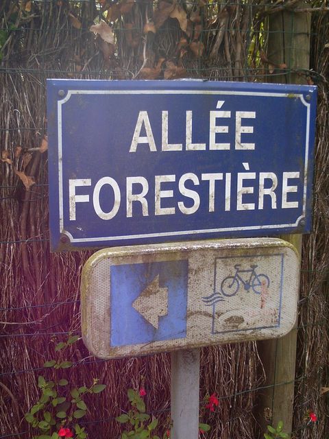 2016-07-12- noirmoutier (11)