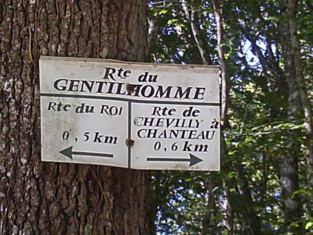 2016-09-03 - neuville-aux-bois_(06)