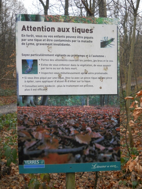 2016-01-31-marolles-en-brie (06)