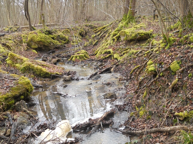 2016-03-10-bondoufle (26)