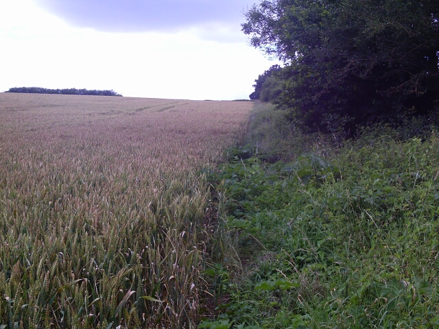 2016-06-26- verneuil-l-etang (14)