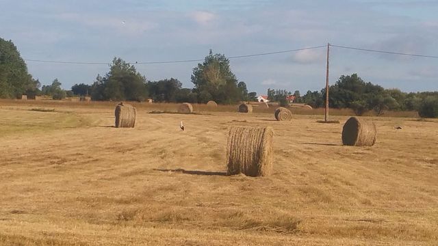 2016-07-12- noirmoutier (01)