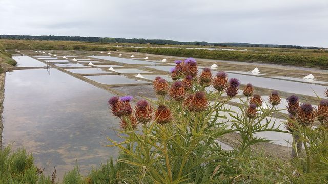 2016-07-28_les-sables-d-olonne (08)