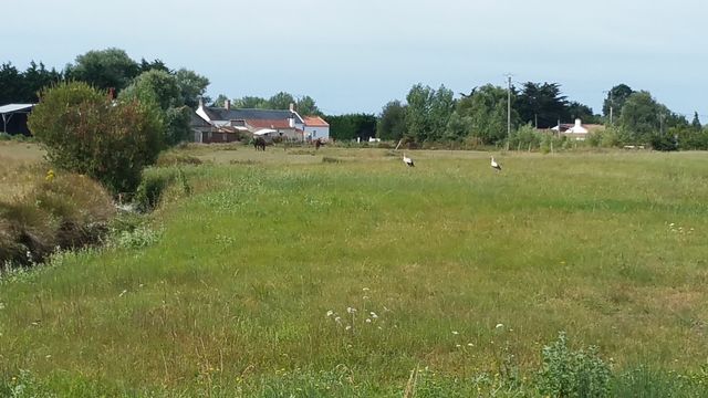 2016-08-04_chateauneuf (10)