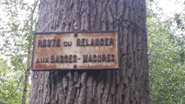 2016-09-04_rambouillet (05)
