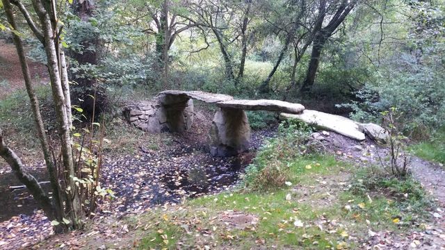 2016-10-30 - la ferriere (06)