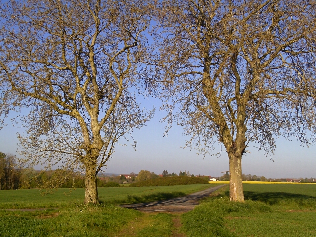 2016-05-01-nesles-la-gilberde (04)