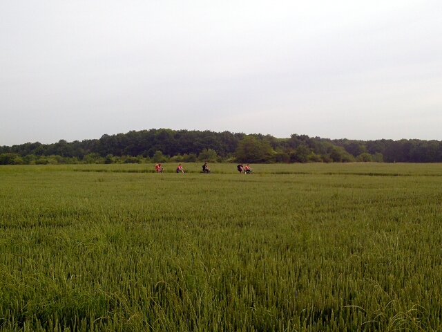 2016-06-10-boissy-sous-saint-yon (03)