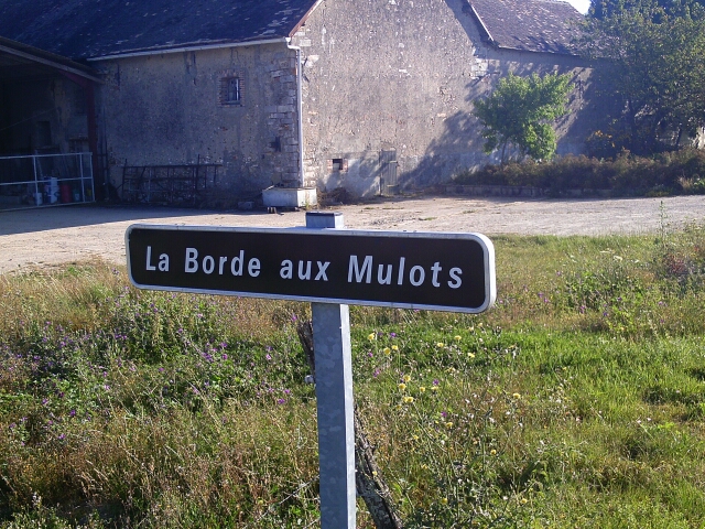 2016-08-15-vallery (04)
