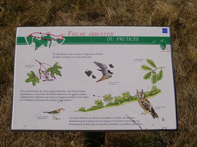 2016-08-28 chaussy (37)