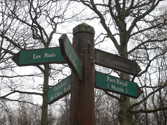 2016-02-20-trappes [07)