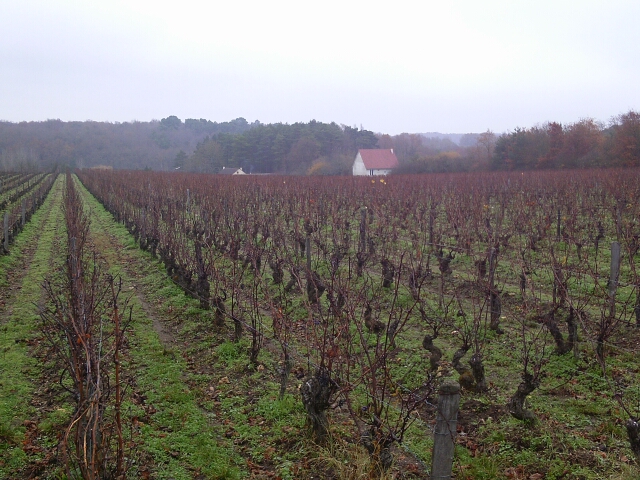 2016-11-27-monthou-sur-cher (17)