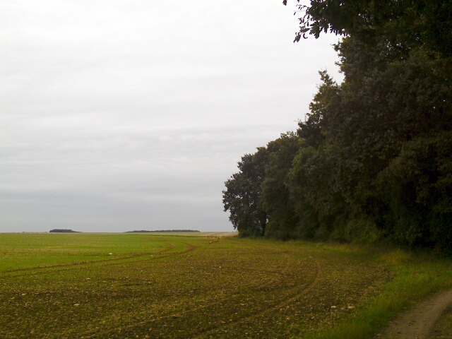 2016-09-30 - boutigny-sur-essonne (04)