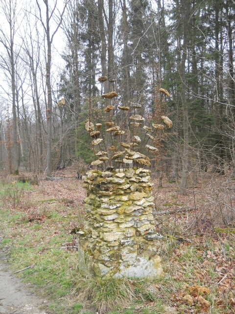 2016-03-10-bondoufle (17)