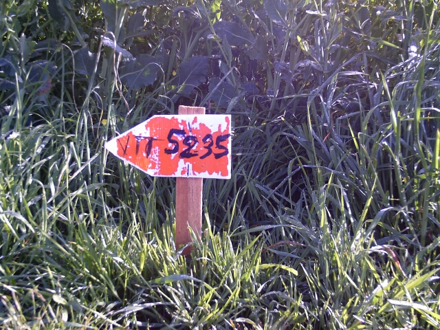 2016-05-01-nesles-la-gilberde (05)
