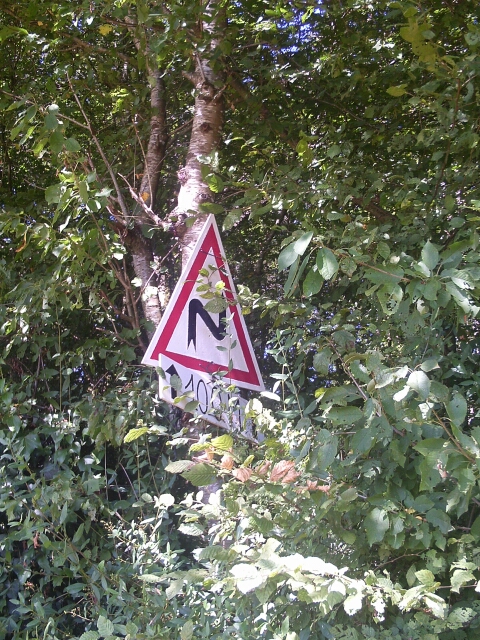 2016-08-15-vallery (16)