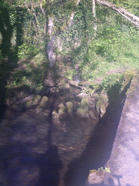 2016-05-01-nesles-la-gilberde (09)