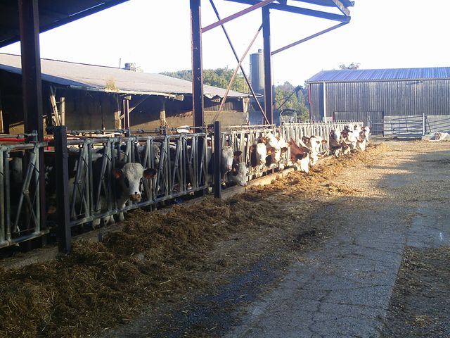 2016-10-30 - la ferriere (04)