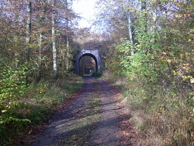 2016-11-06 - montceaux-les-meaux (10)
