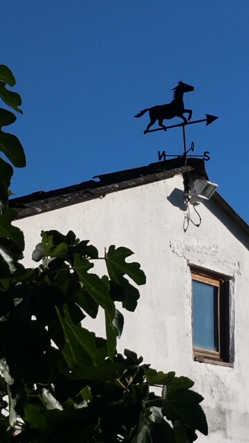 2016-10-03 - boutigny-sur-essonne (06)