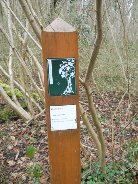 2016-03-10-bondoufle (15)