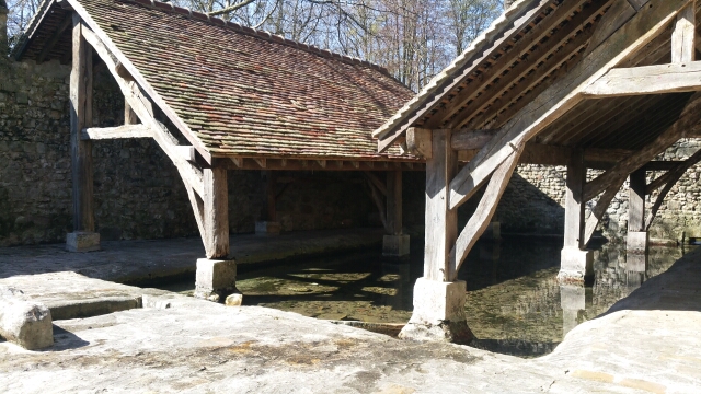 2016-04-10-milly-la-foret (005)