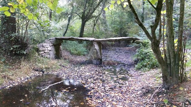 2016-10-30 - la ferriere (07)