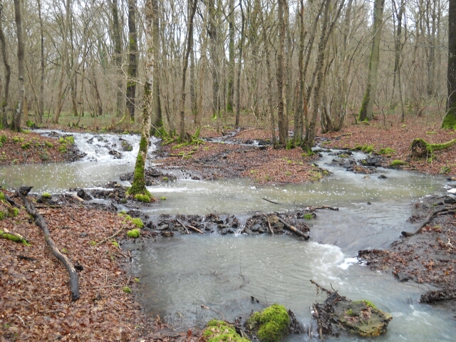 2016-02-14-bondoufle (10)