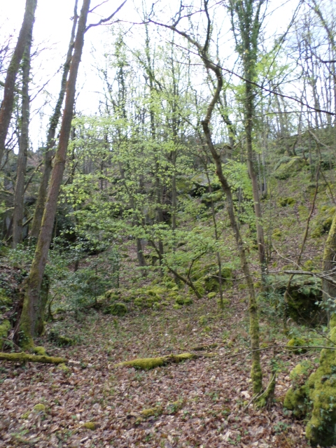 2016-04-17- morigny-champigny (03)