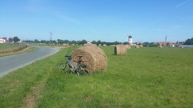 2016-07-08 - la garnache (07)