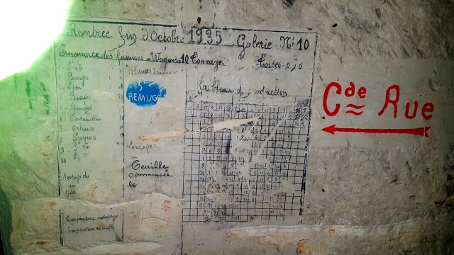 2016-11-27-monthou-sur-cher (10)