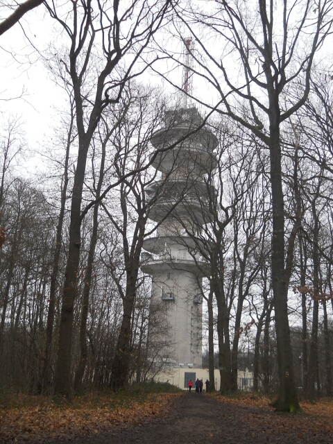 2016-01-17-velizy-villacoublay (09)