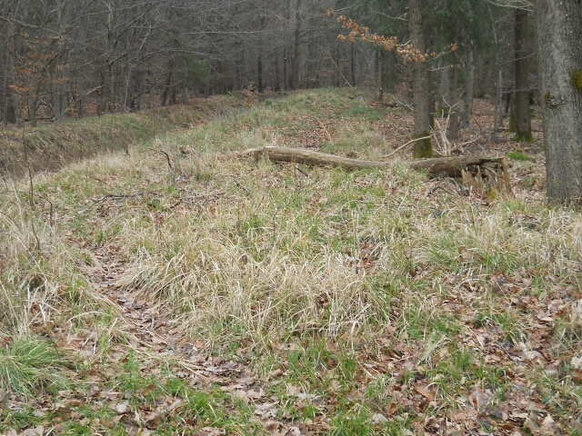 2016-03-10-bondoufle (22)