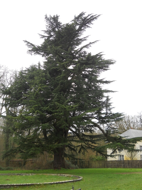 2016-02-14-bondoufle (13)