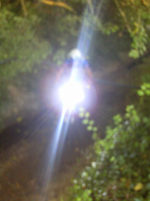 2016-07-23_bois-de-cene (09)