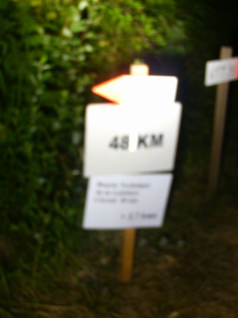 2016-07-23_bois-de-cene (11)