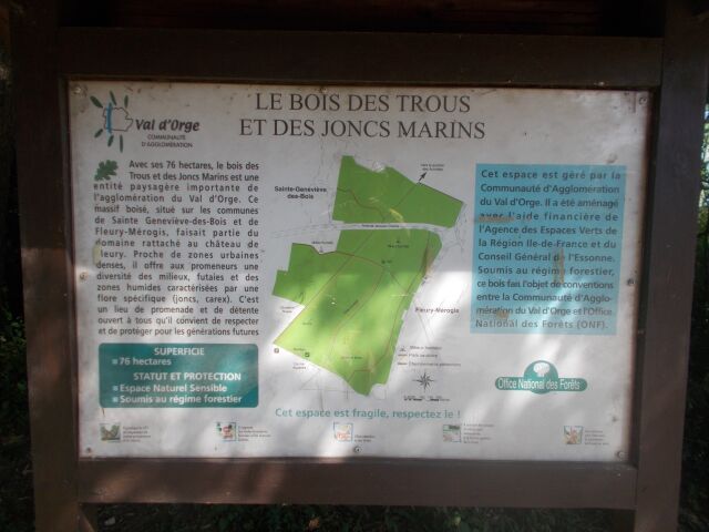 2017-06-17 - sainte-genevieve-des-bois (10)