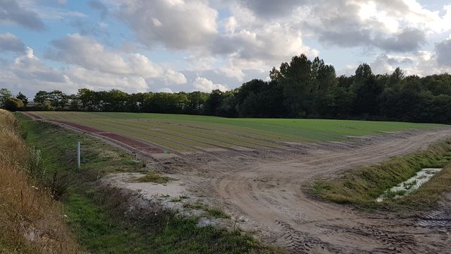 2017-07-22 - bois-de-cene - (22)