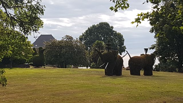 2017-08-01 saint-christophe-du-ligneron (12)