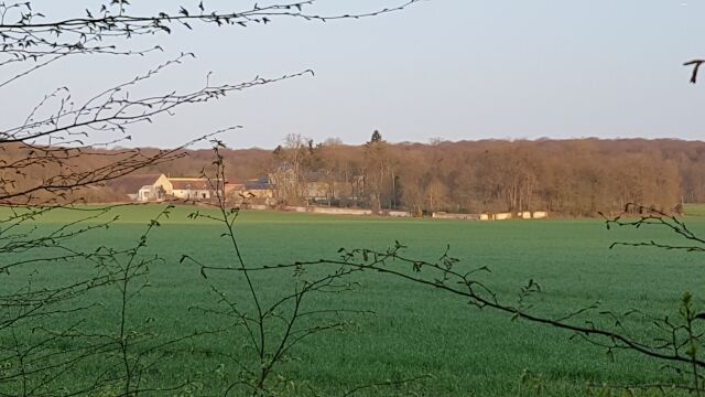 2017-03-26 - les granges-le-roi (04)