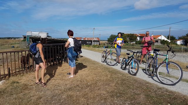 2017-08-02 - la barre-de-monts (03)